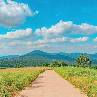 帅气女郎骑摩托